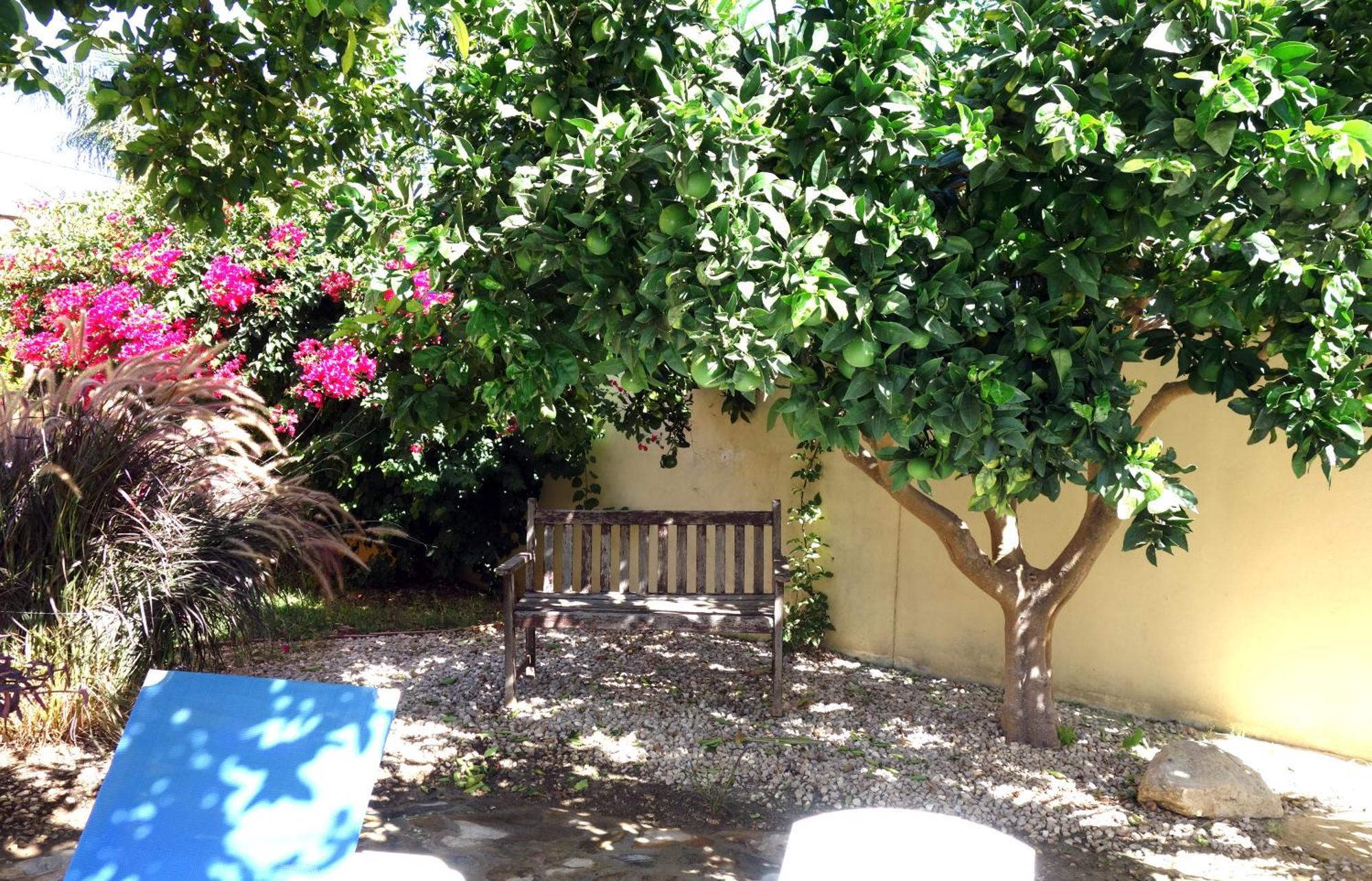 Casa Limon - Ferienhaus - Pool - Klimaanlage - W-Lan Чиклана де ла Фронтера Екстериор снимка